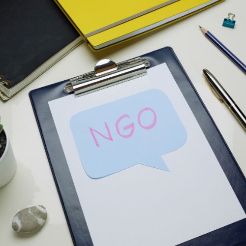 🏛 Government & NGO Projects